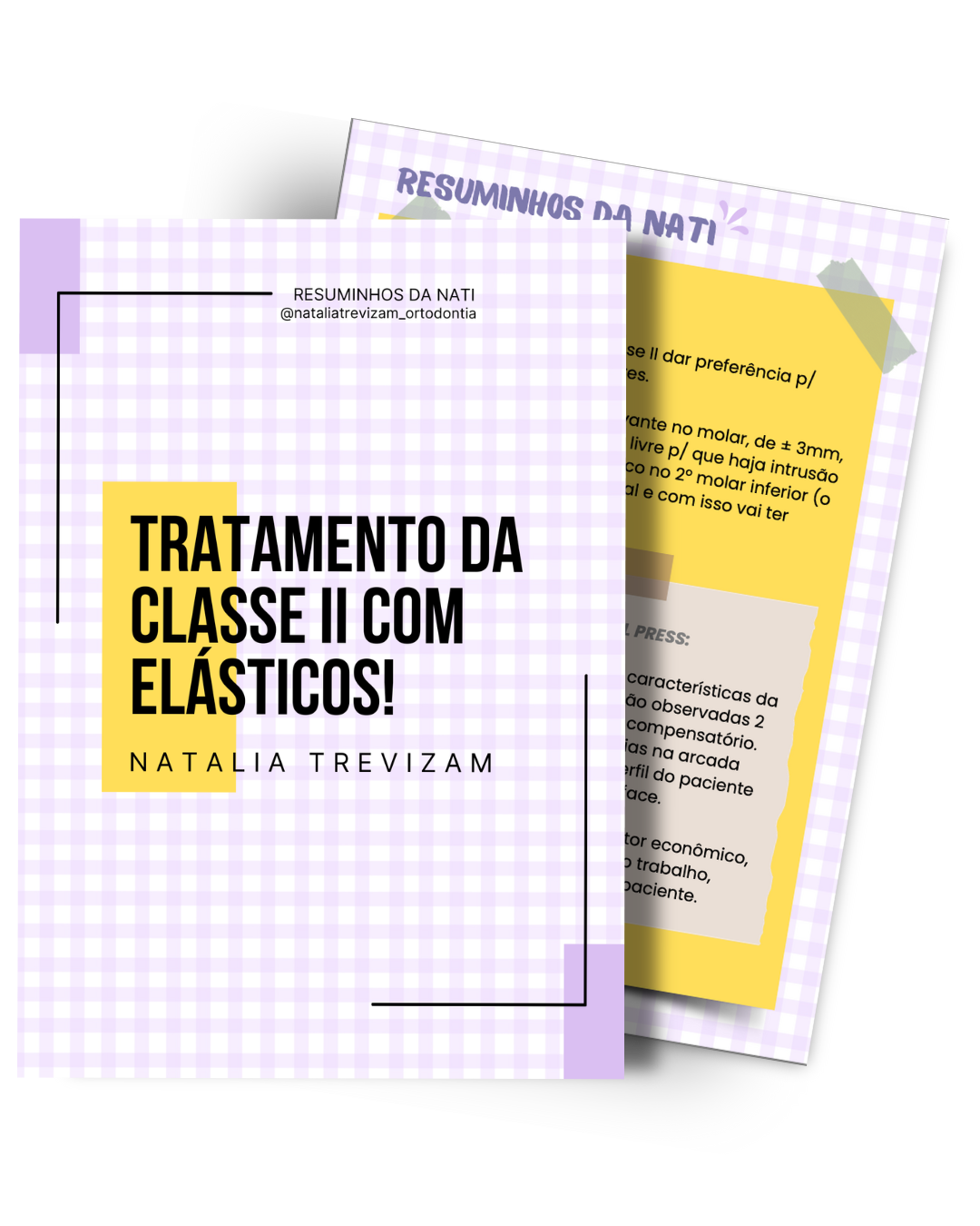 Mockup do resumo