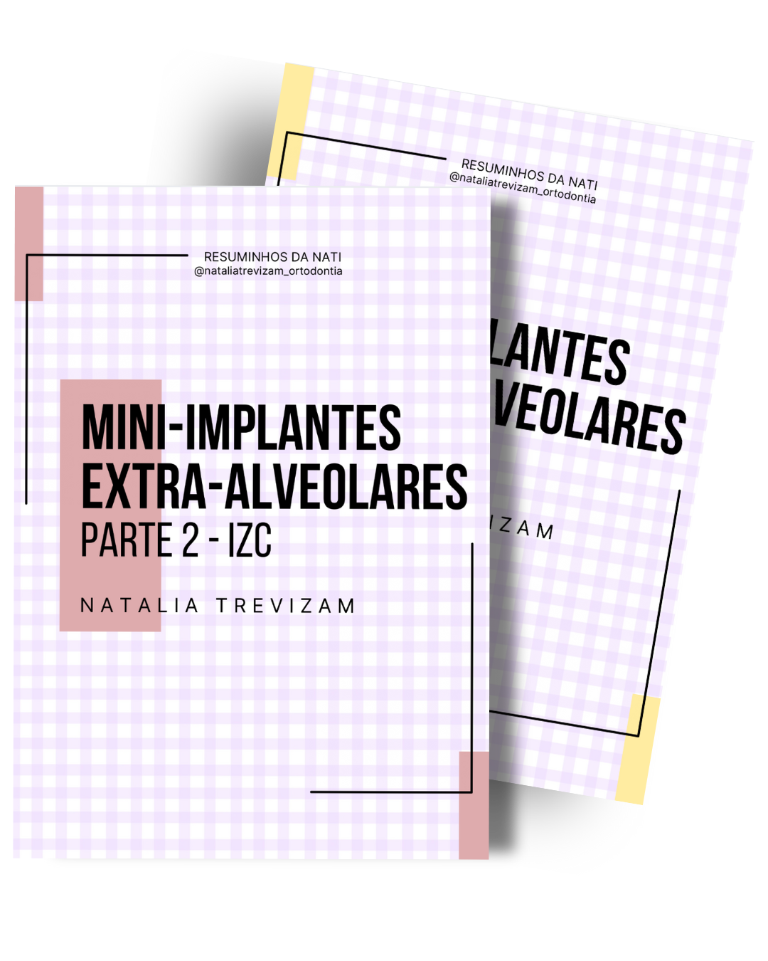Mockup do resumo