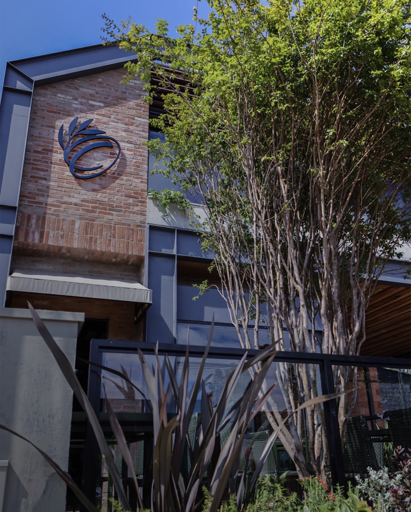 Olivetto Londrina